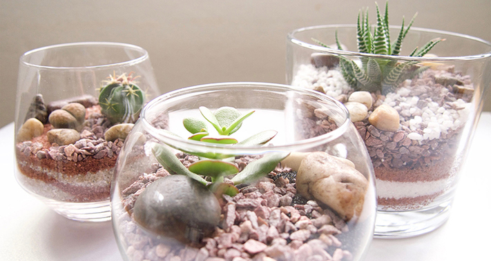 Wine & Design: Succulent Terrarium Sphere