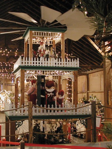 Tannenbaum Forest