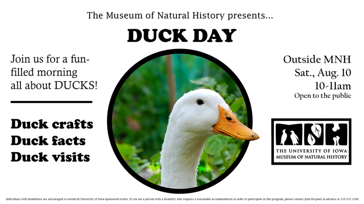 Duck Day